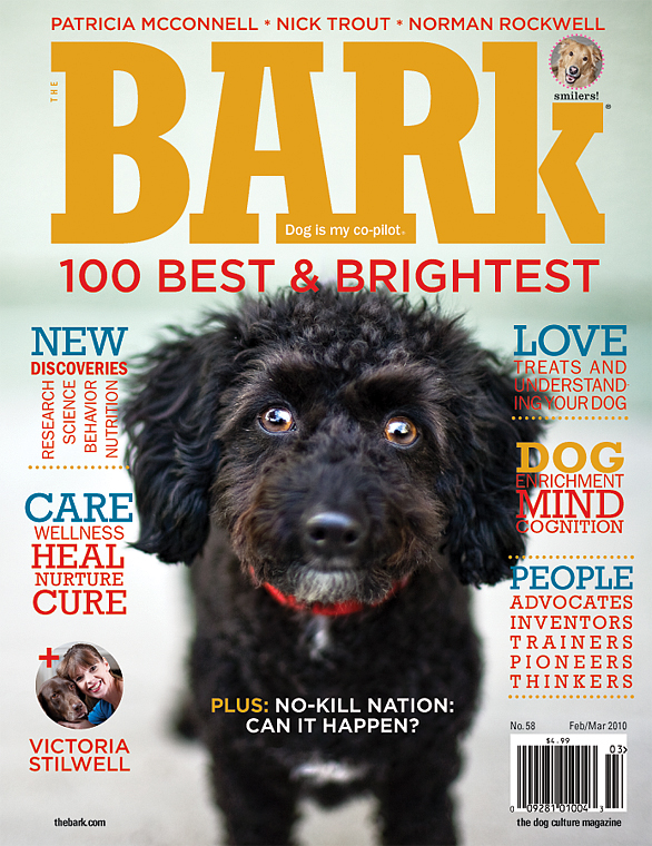 26- Bark58_cover