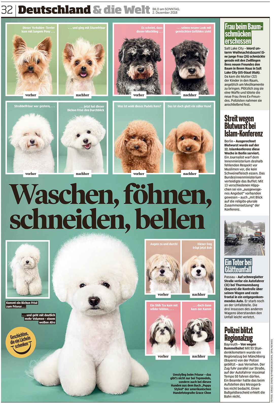 GermanNewspaperLR_web