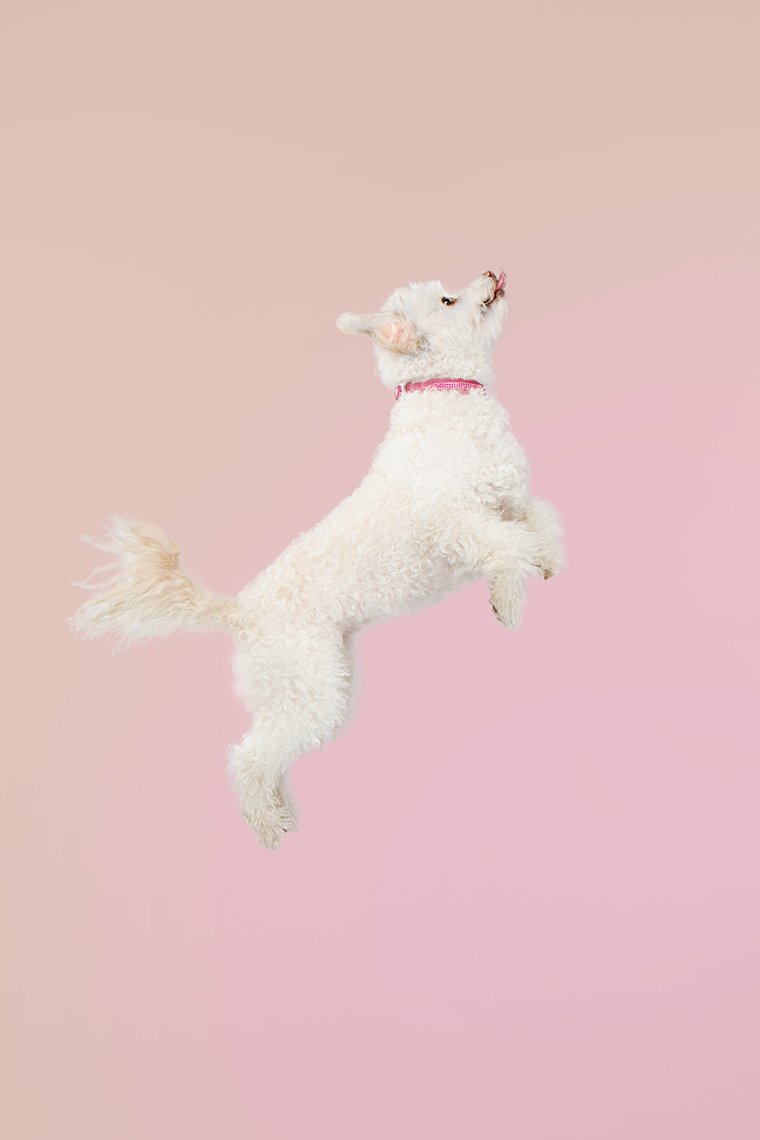 Maggie-1000